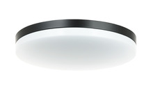 Matteo Lighting M12002BK - Orion Black Ceiling Mount