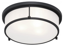 Matteo Lighting M14903MB - Caisse Claire Matte Black Ceiling Mount