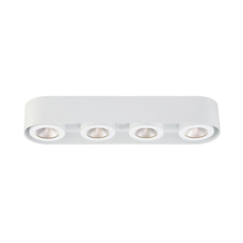 Eurofase 33619-019 - Nymark, 4LT LED Surface Mnt, Wht