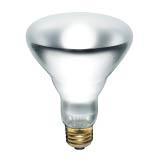 Compact Fluorescent (CFL) Bulbs