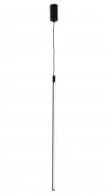 Bethel International Canada DLS90P31B - LED Pendant Iron & Acrylic