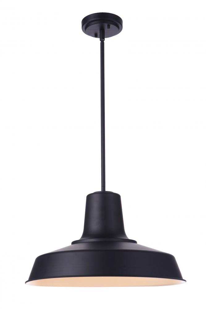 1 Light Pendant